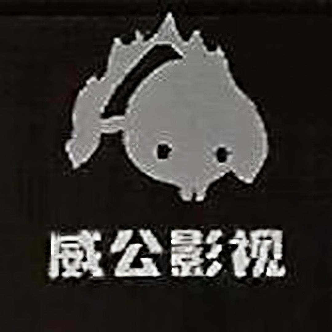 威公影视