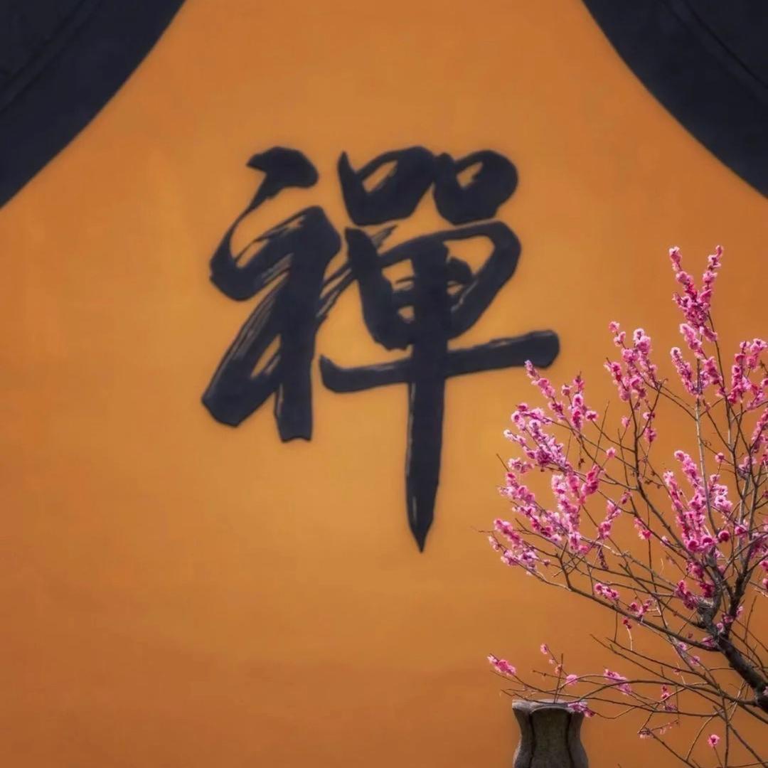 清念诗雯