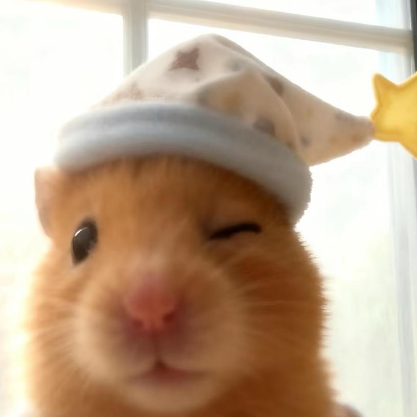 他们都叫我小曹