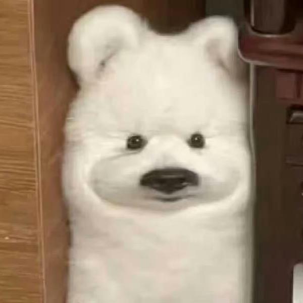 江江江江