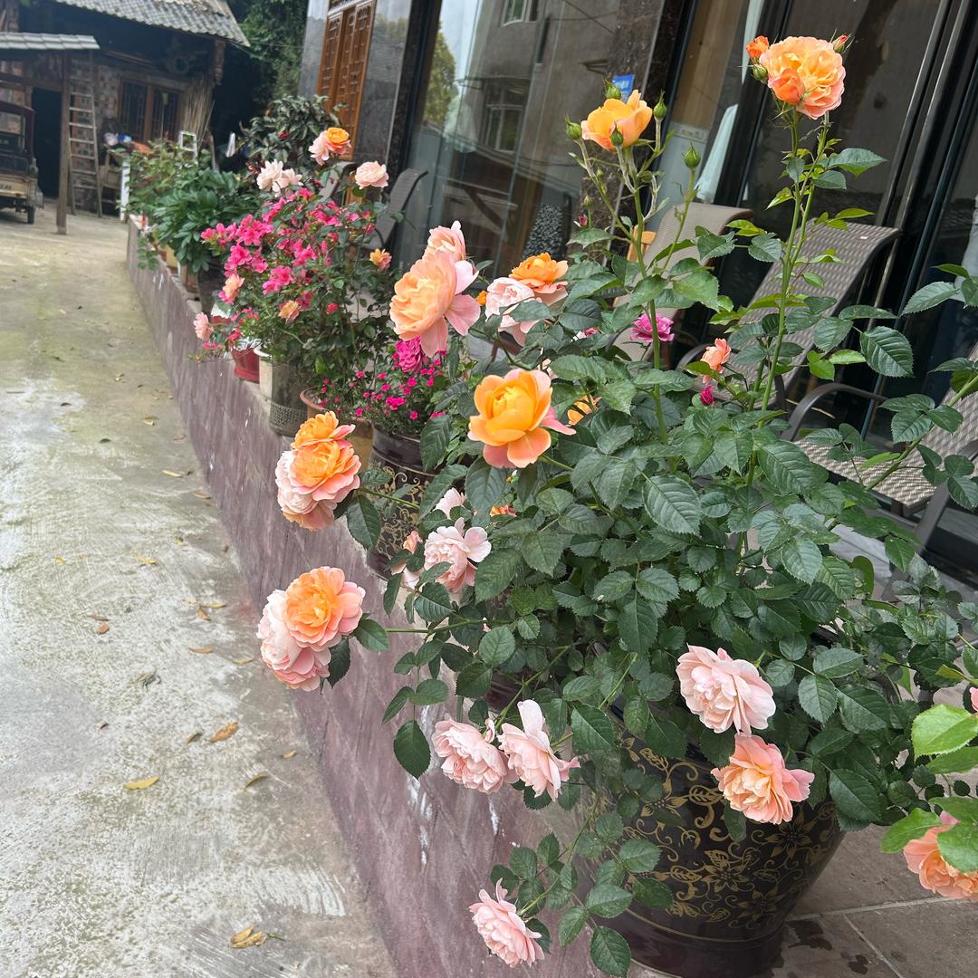 上里古镇逸然居