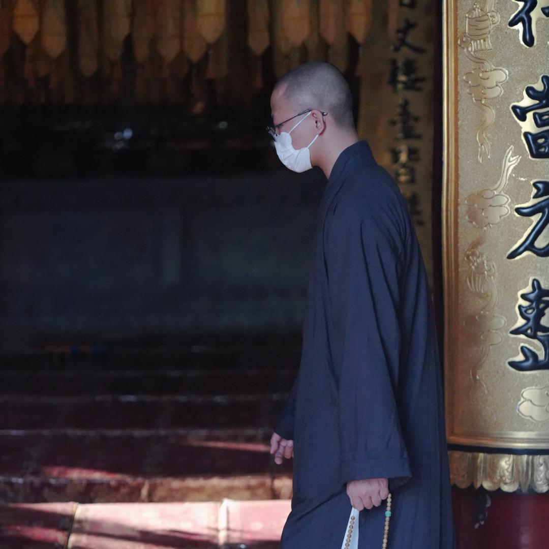 小僧爱拍照📷