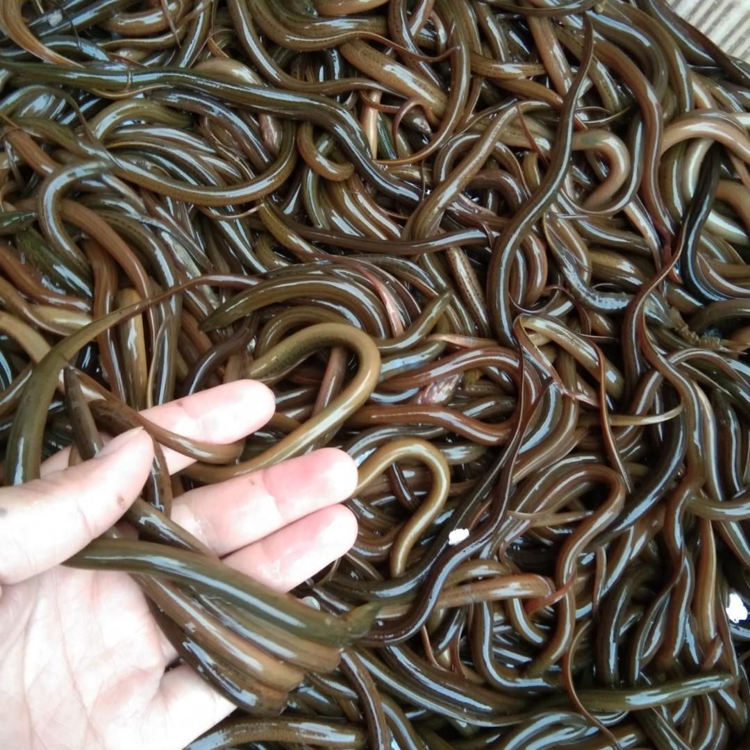 富园农业