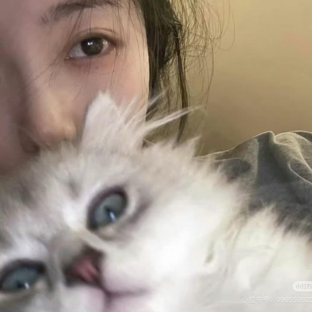 森影.