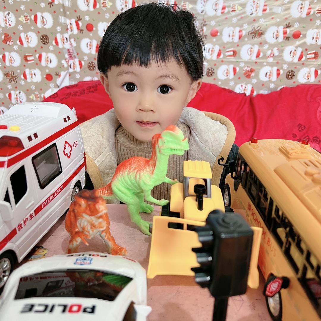 睿睿的玩具总动员