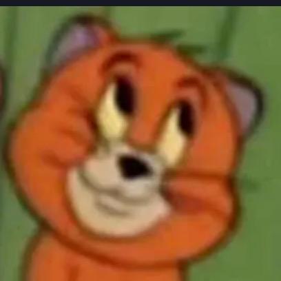 肥美一只猫