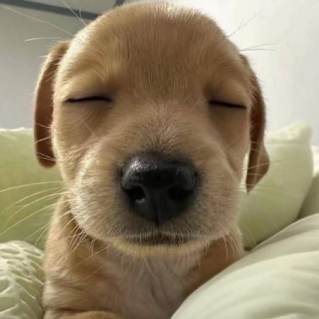 世界太他妈坏了