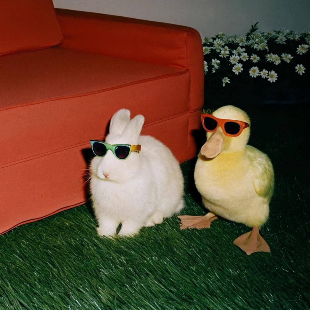 为什么会有酸蓝莓！！