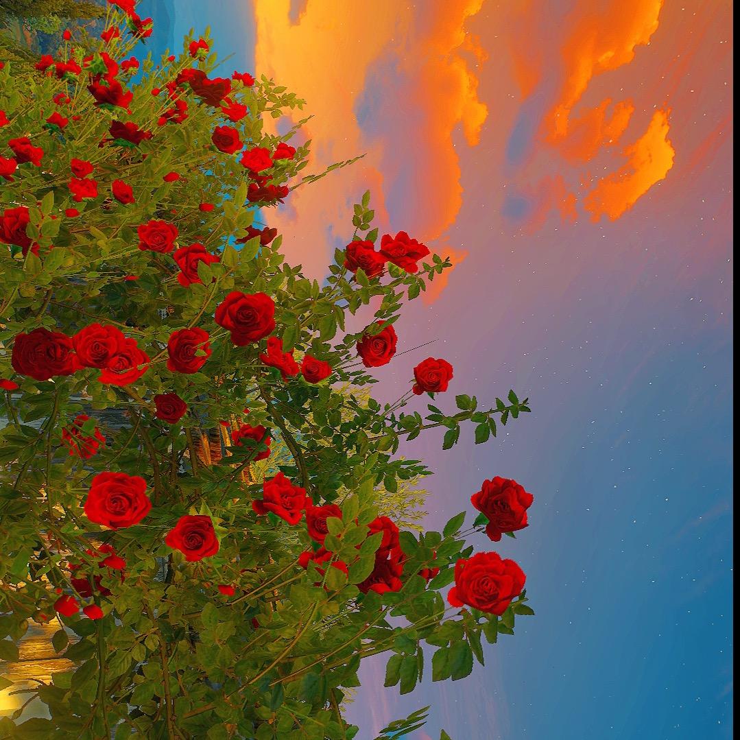 西双版纳睿汇房地产营销策划有限公司