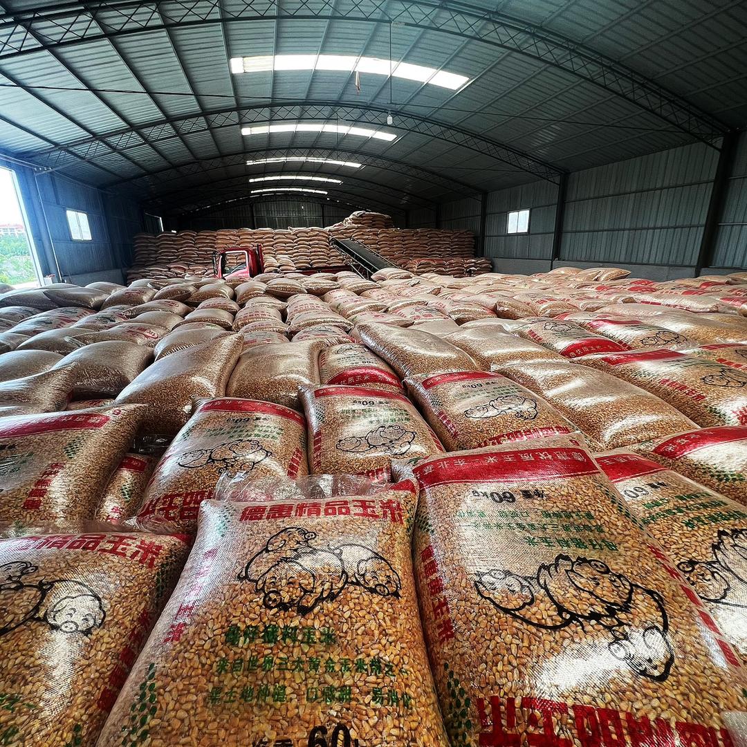 牟平盛强饲料经销处