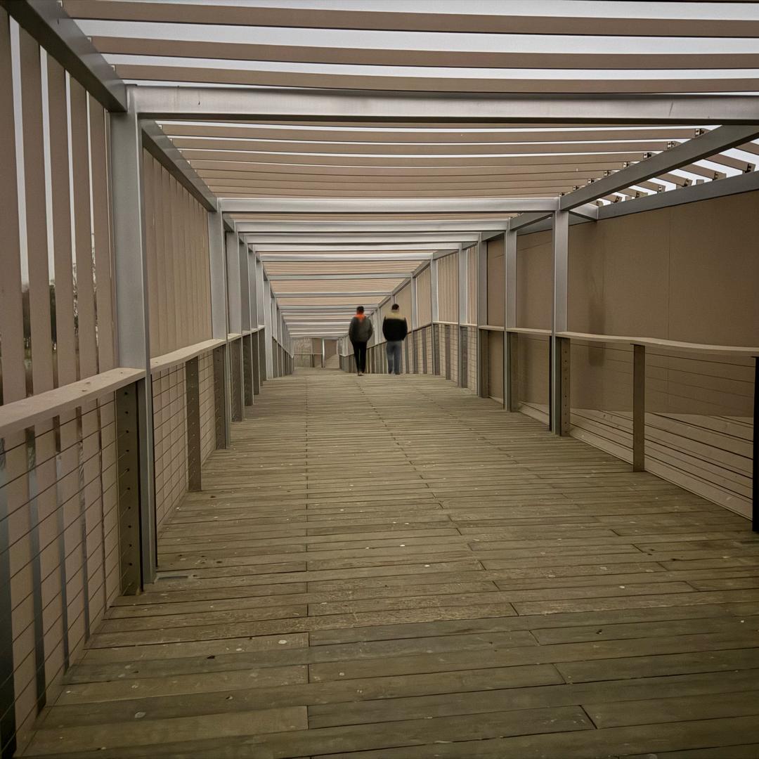 哟，这是张家大少爷嘞