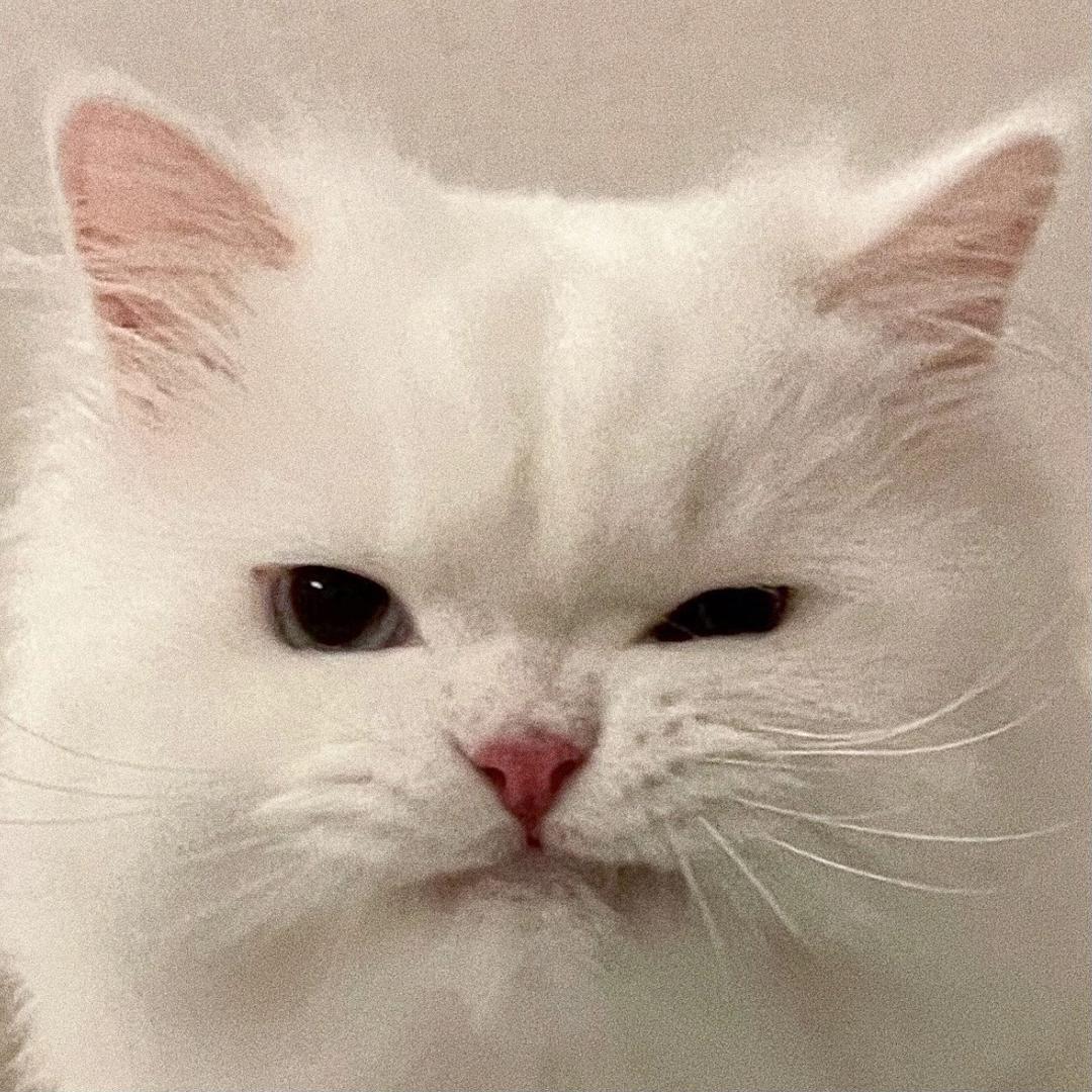 洪若童