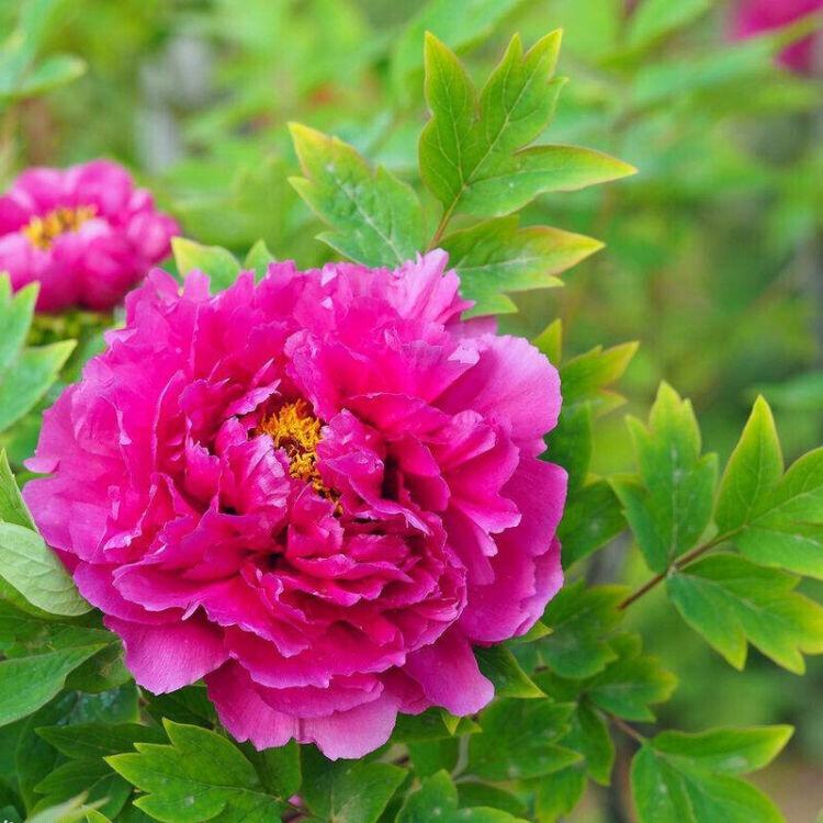 盛夏微凉好物分享