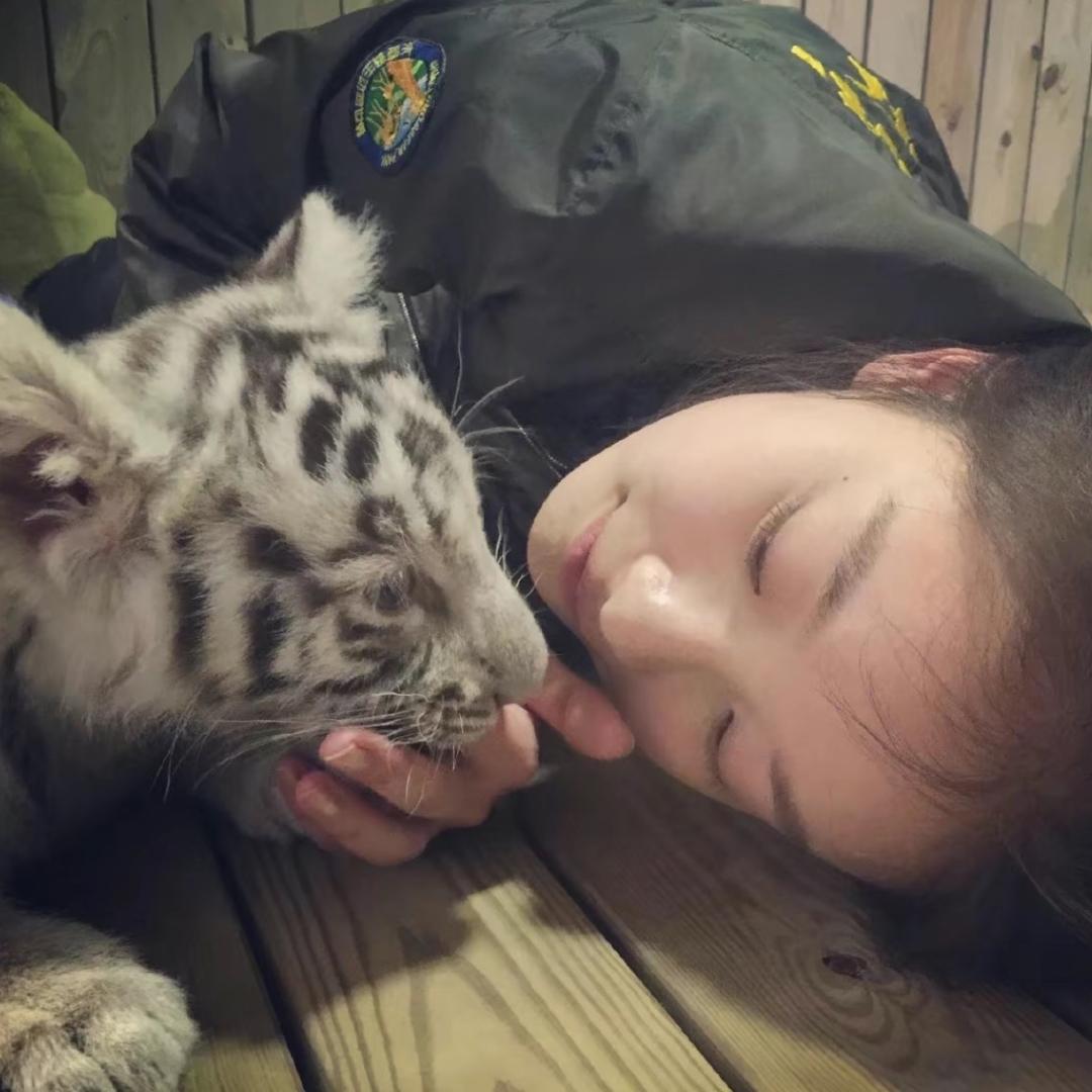 萬事勝意..