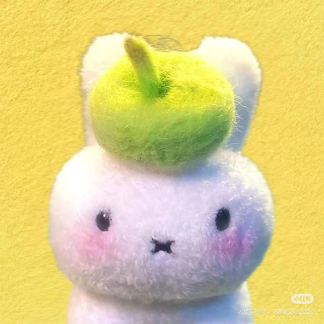 呼噜小呆