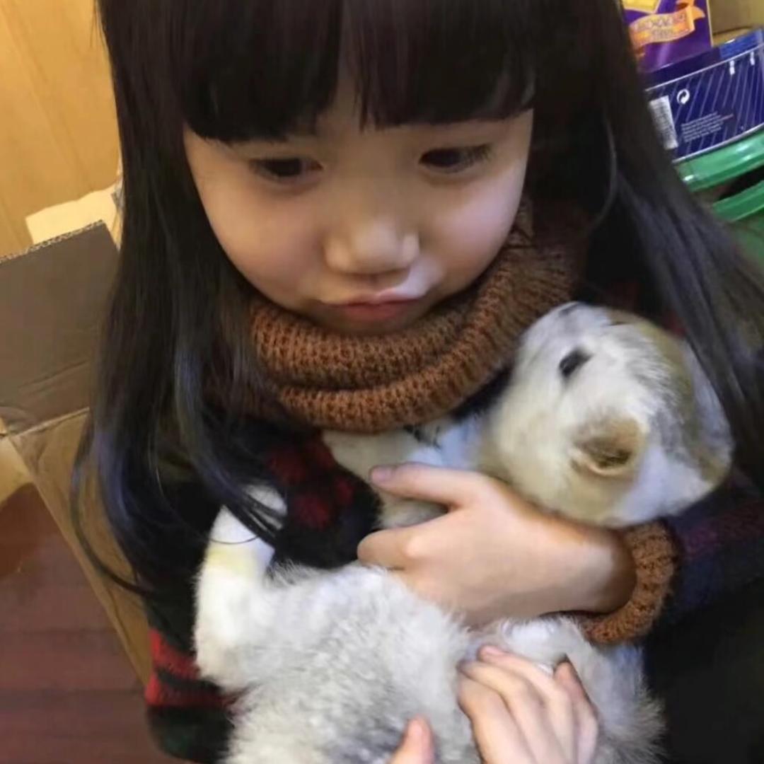 噔噔