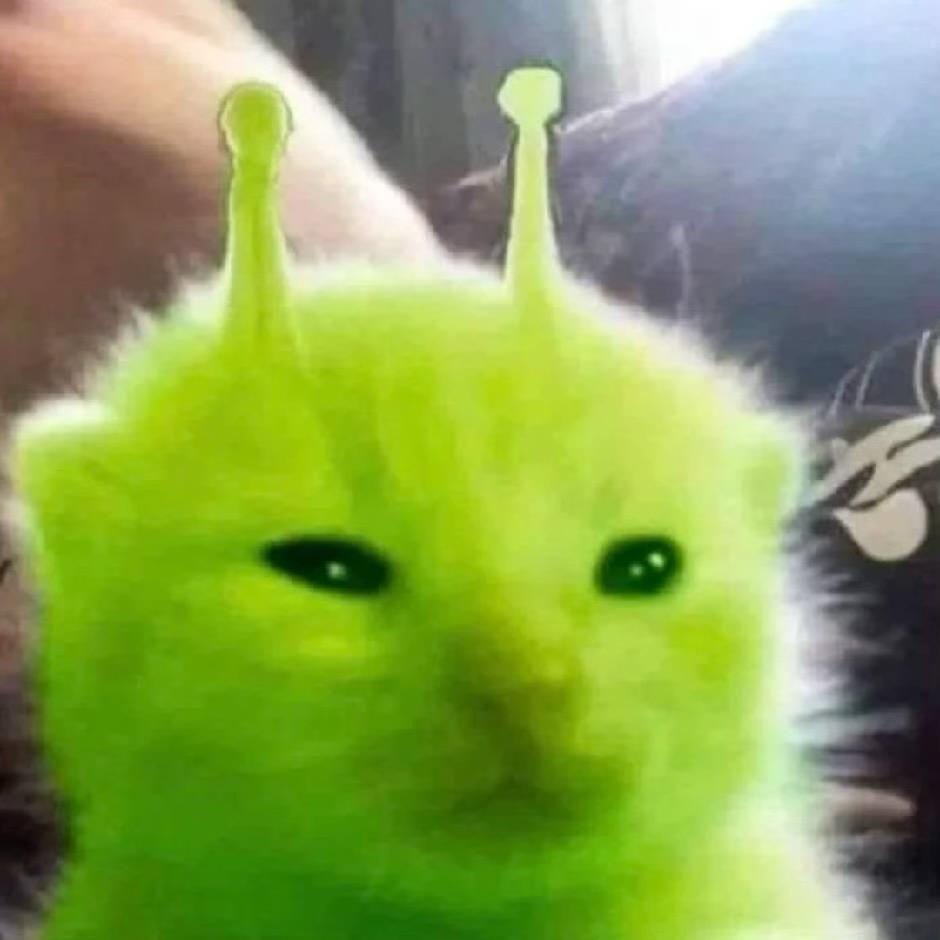 我恨星期一