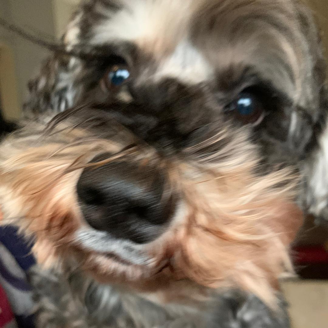 讲讲