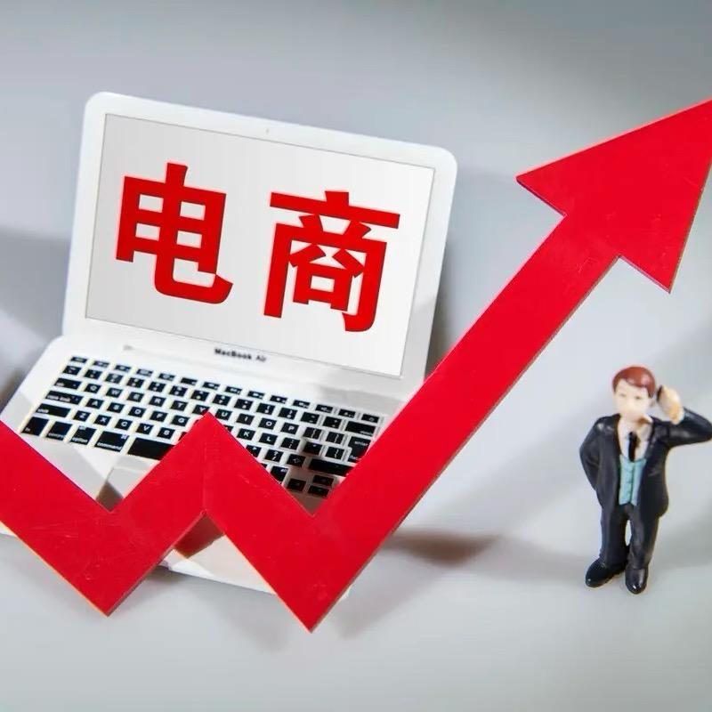 峰哥电商实训班