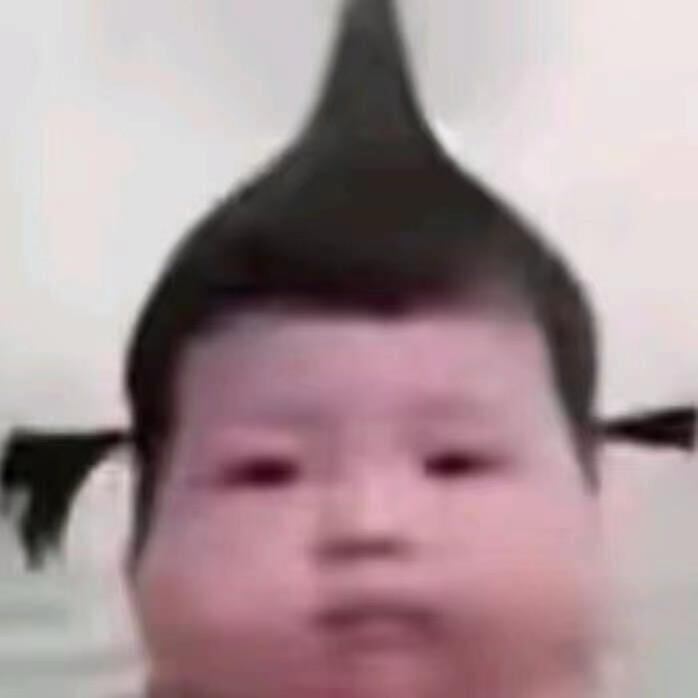 一只不落地的鸟