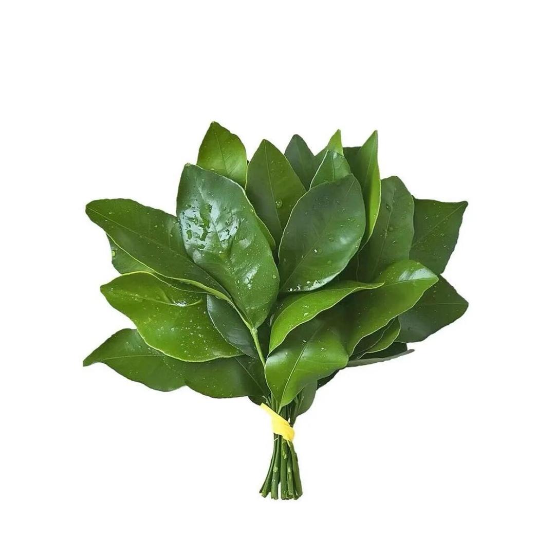 华诺舞蹈靳老师