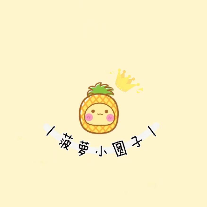 烩邦电子商行菠萝diy