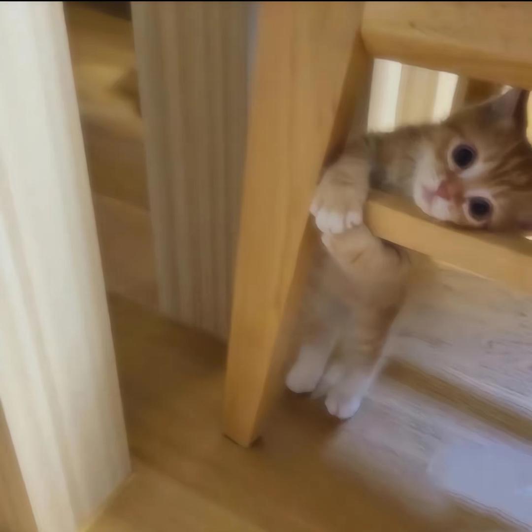 路云