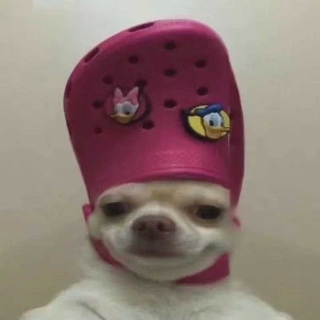 384