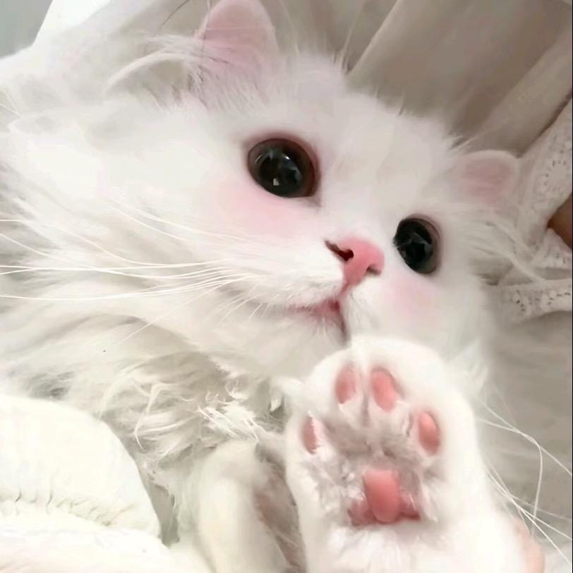 给我来杯西瓜汁