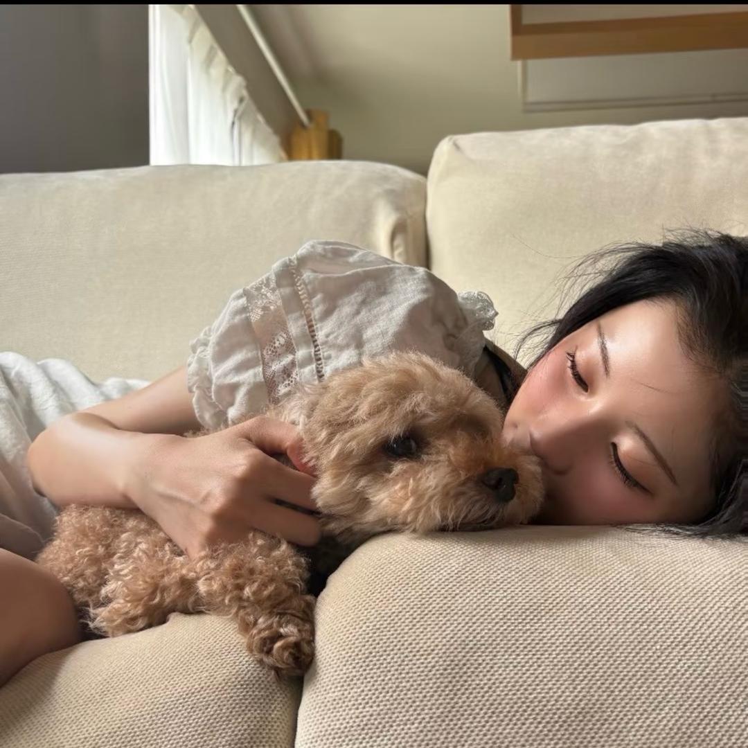 不吃洋柿子的小攀