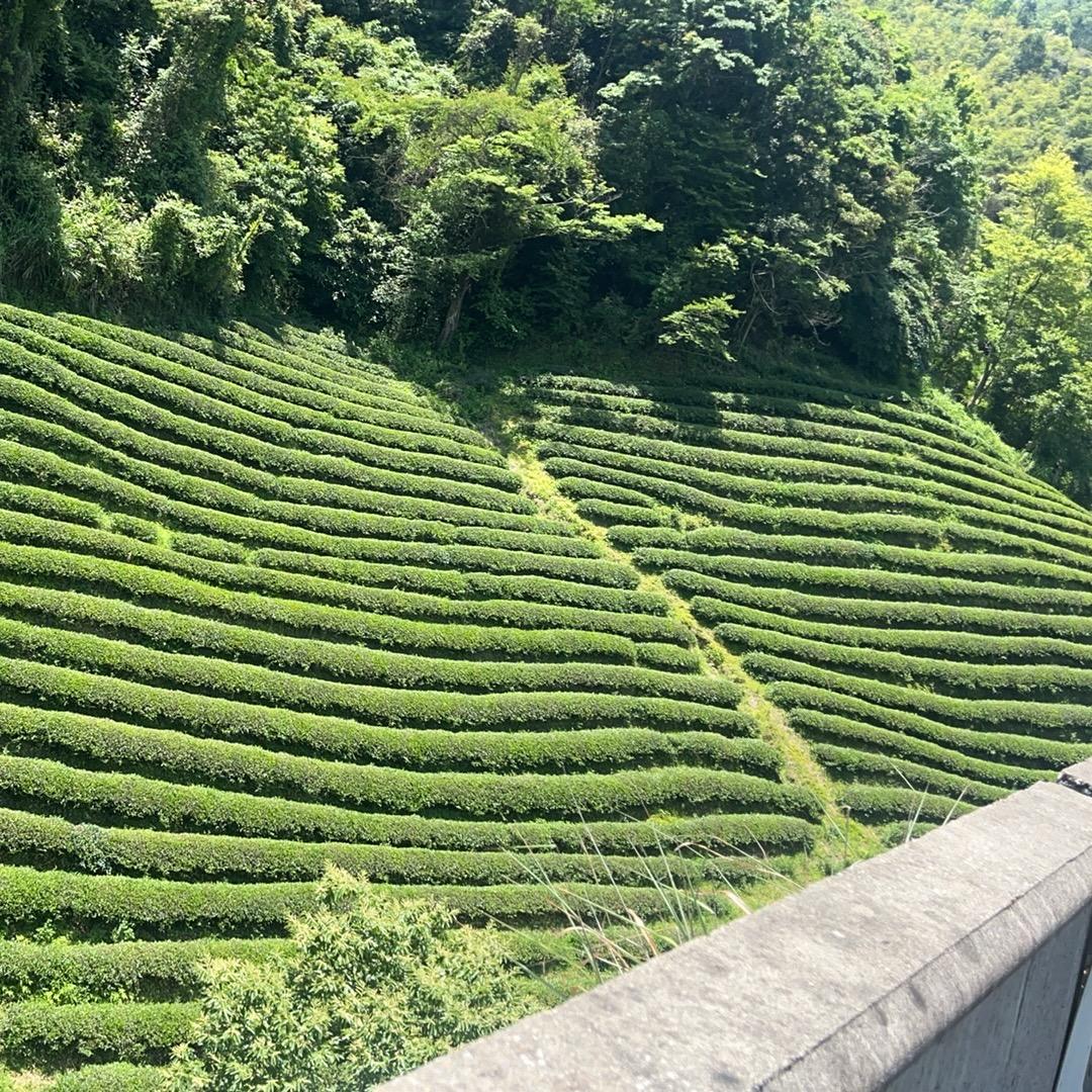 🌈🌈🌈📱✨✨轻松✨✨🌈🌈🌈