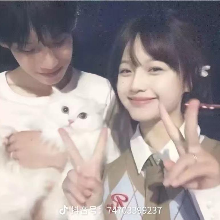 恋李的温暖