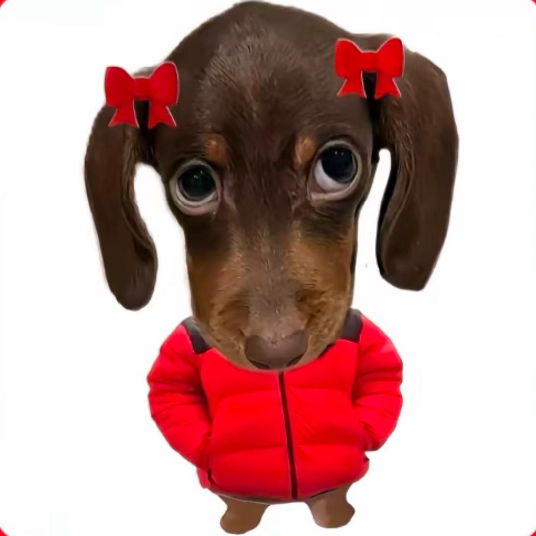 花生