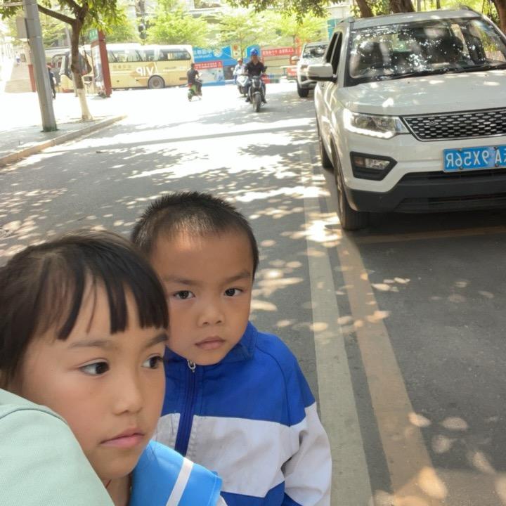 杨光林