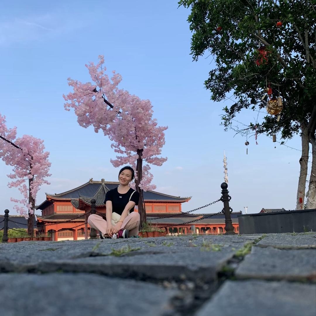高山与森林🌳