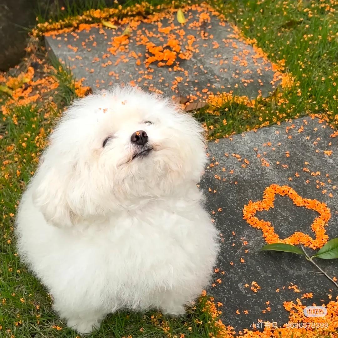 脆脆𝙯ᙆ.