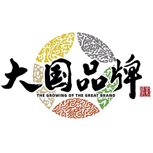 大国品牌养成记