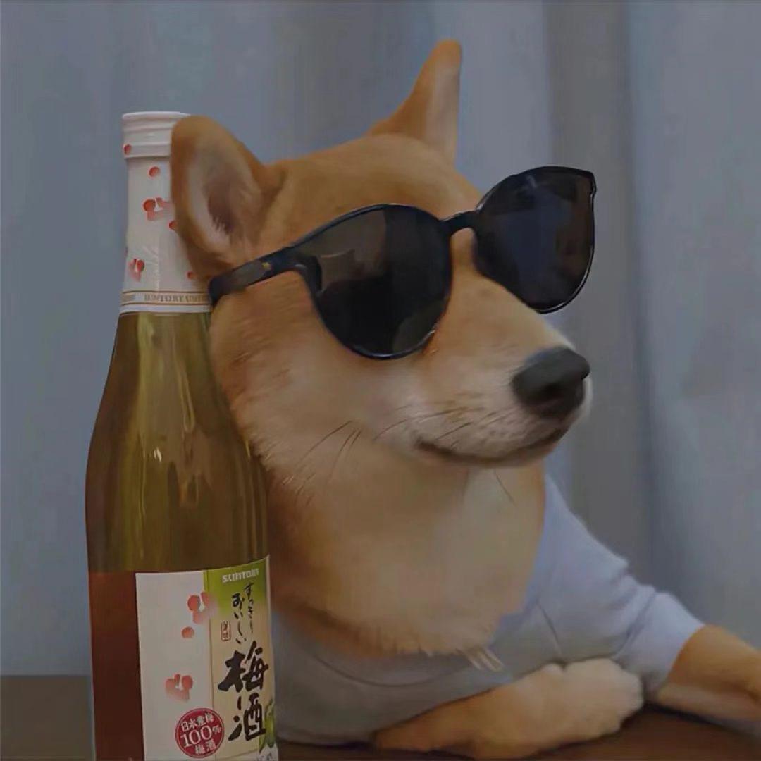 我有一只小橙鱼