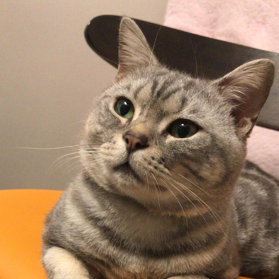 自然跳动的音符