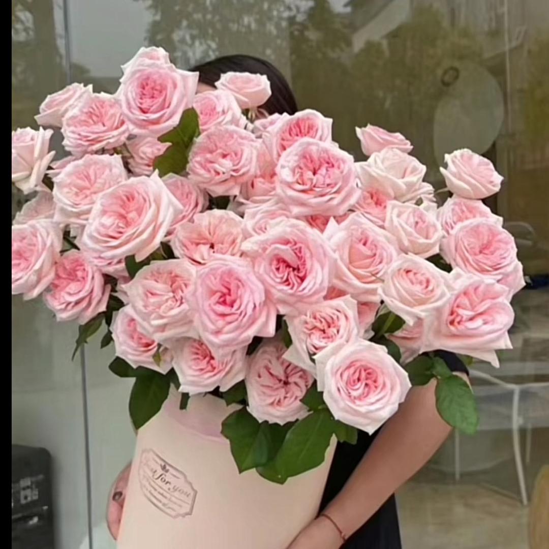 小连……💗