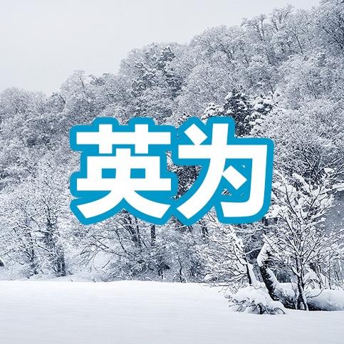 英为车载用品旗舰店