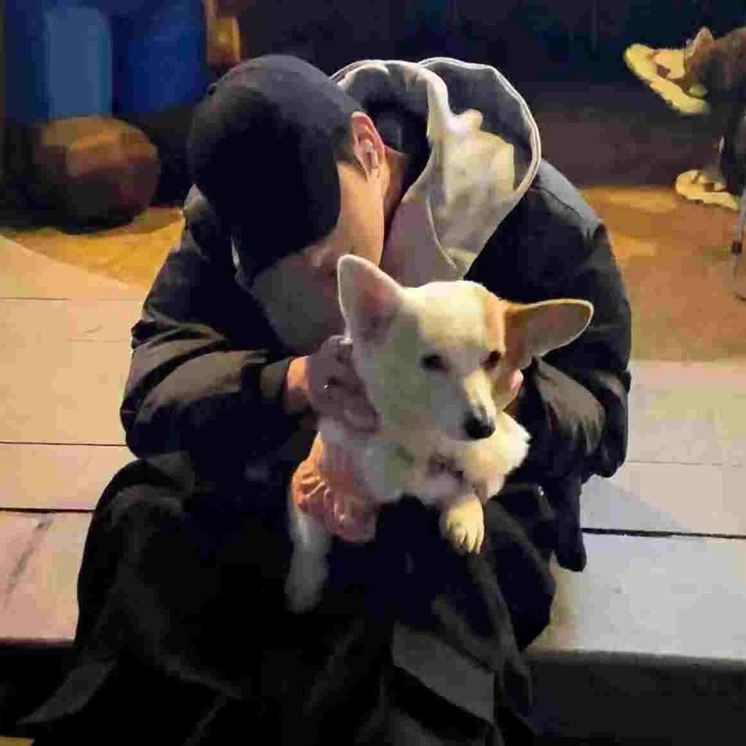 我要学吃老鼠药