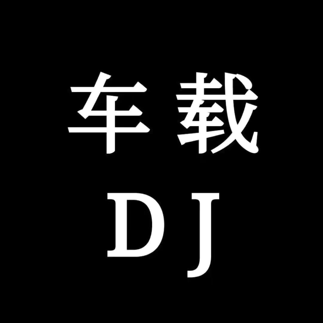 汉音车载DJ音乐（优盘可够）