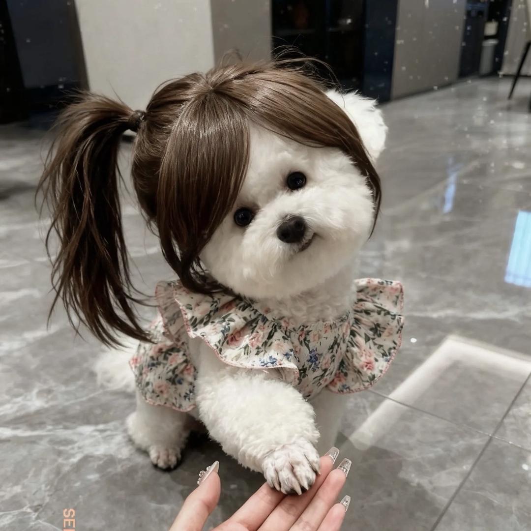 可乐要加冰
