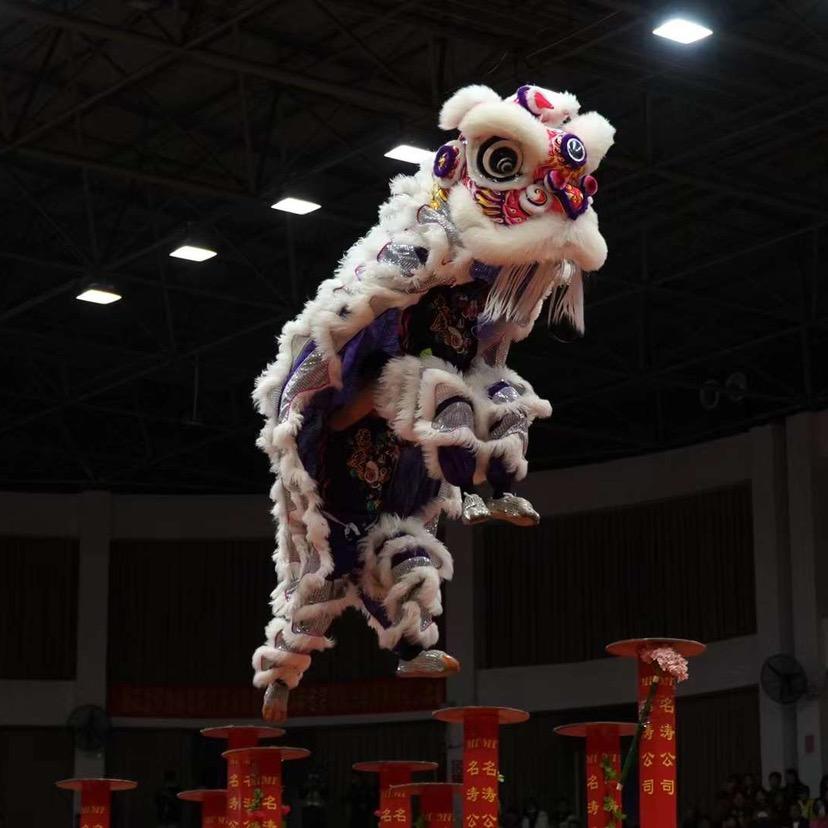 中国🇨🇳佛山龙狮文化传媒