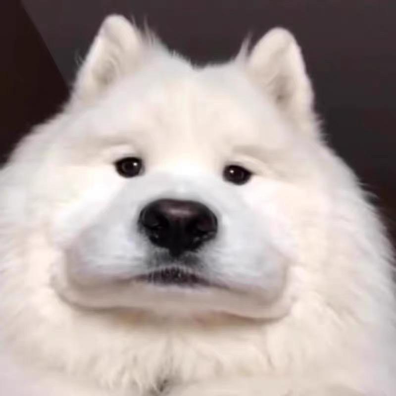 闖