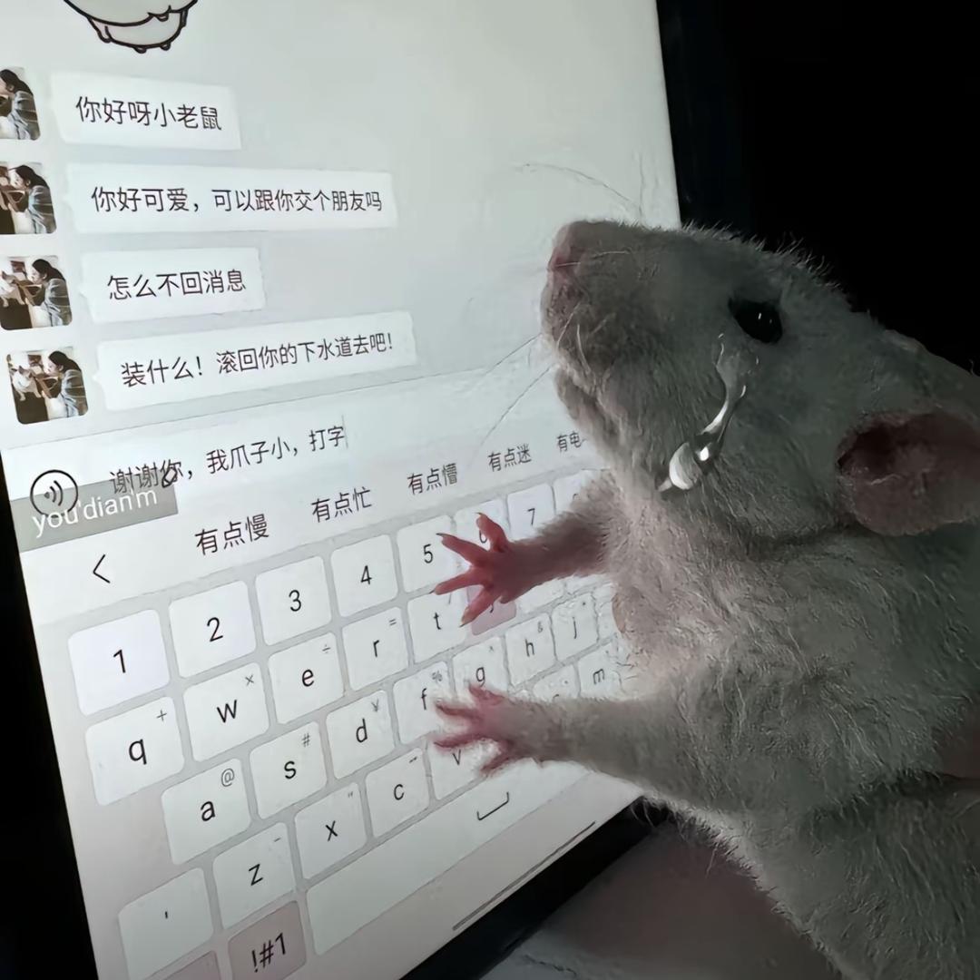 帅蛋
