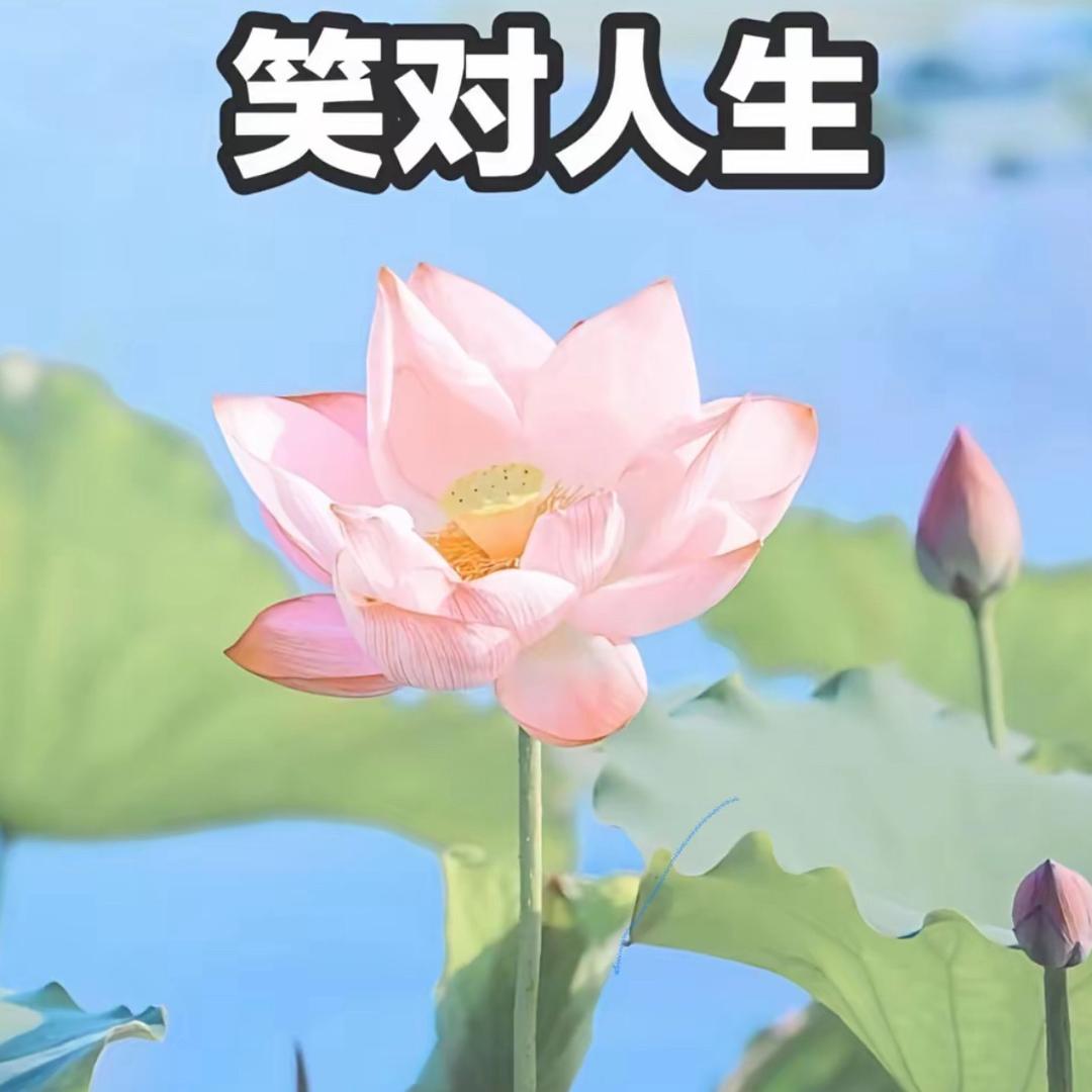 岁月如歌静等花开