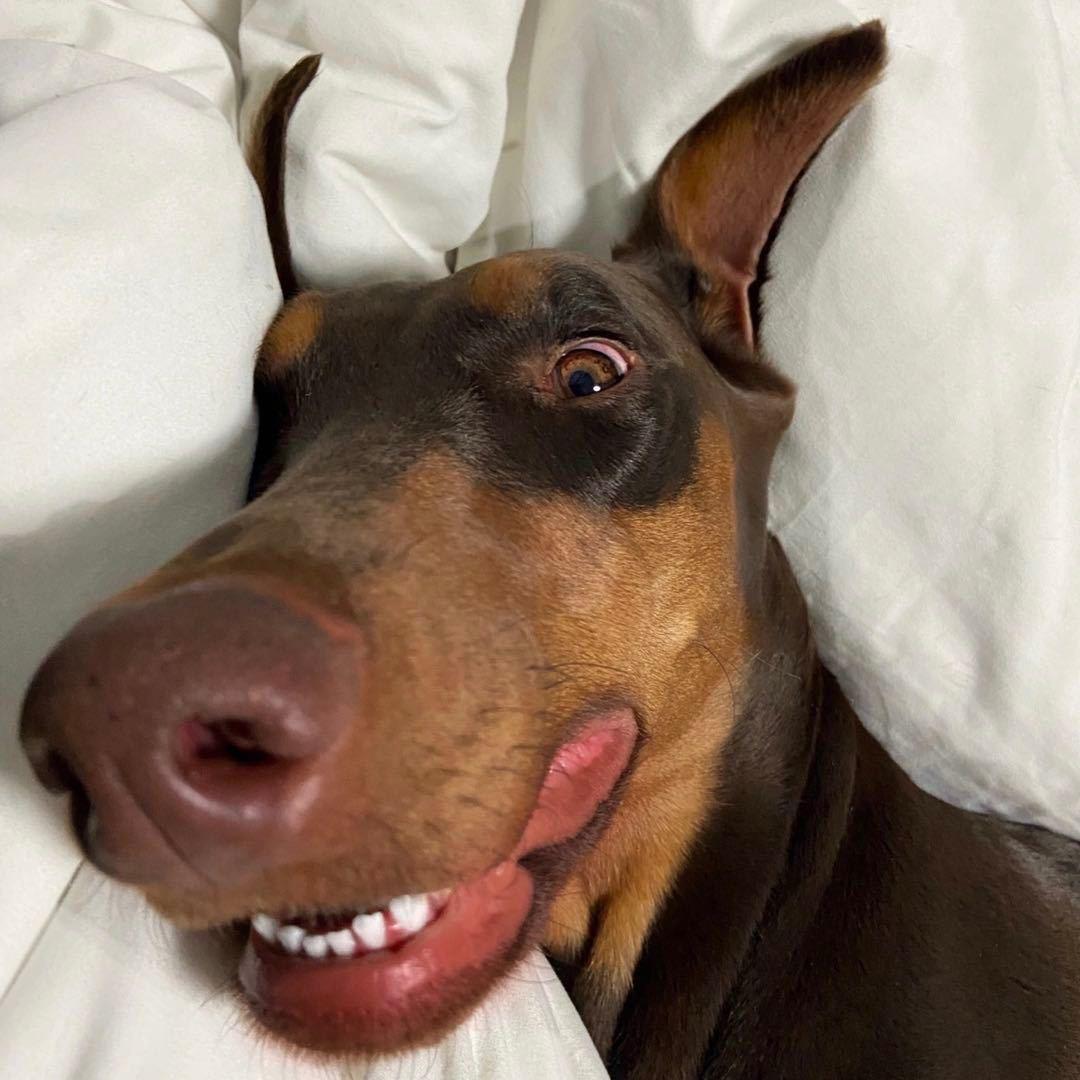 0.2