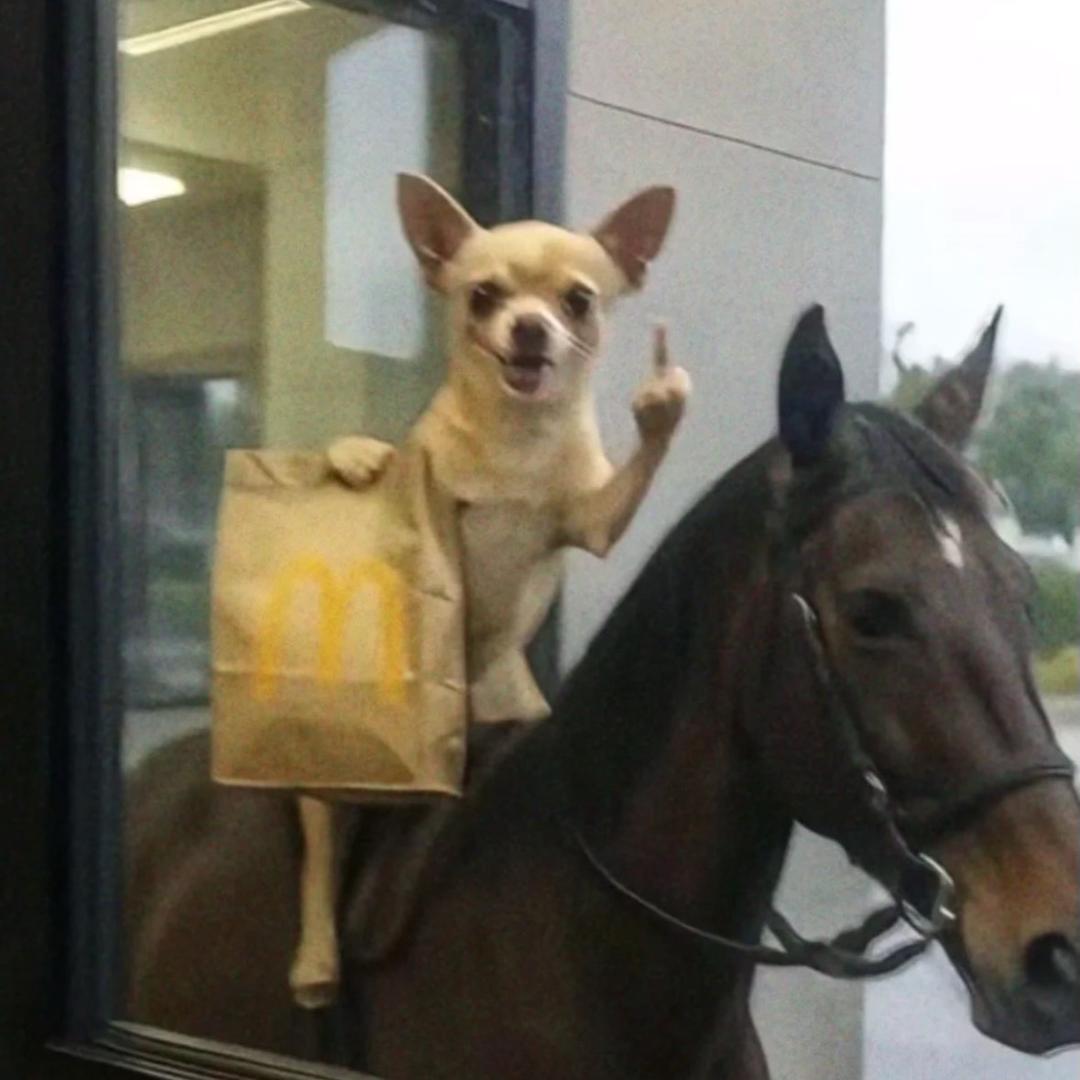 小时候被狗咬过